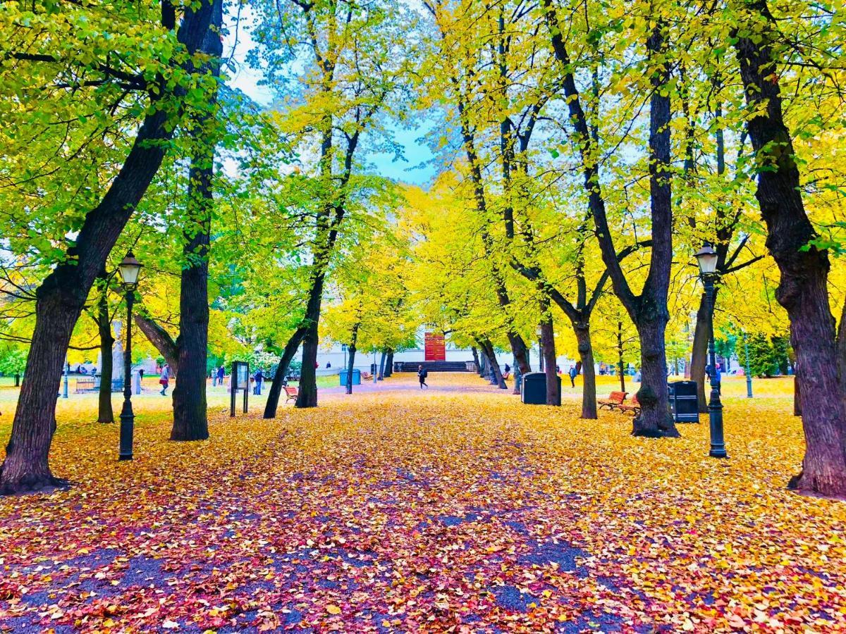 Scandinavian Home 21 In Heard City هلسنكي المظهر الخارجي الصورة
